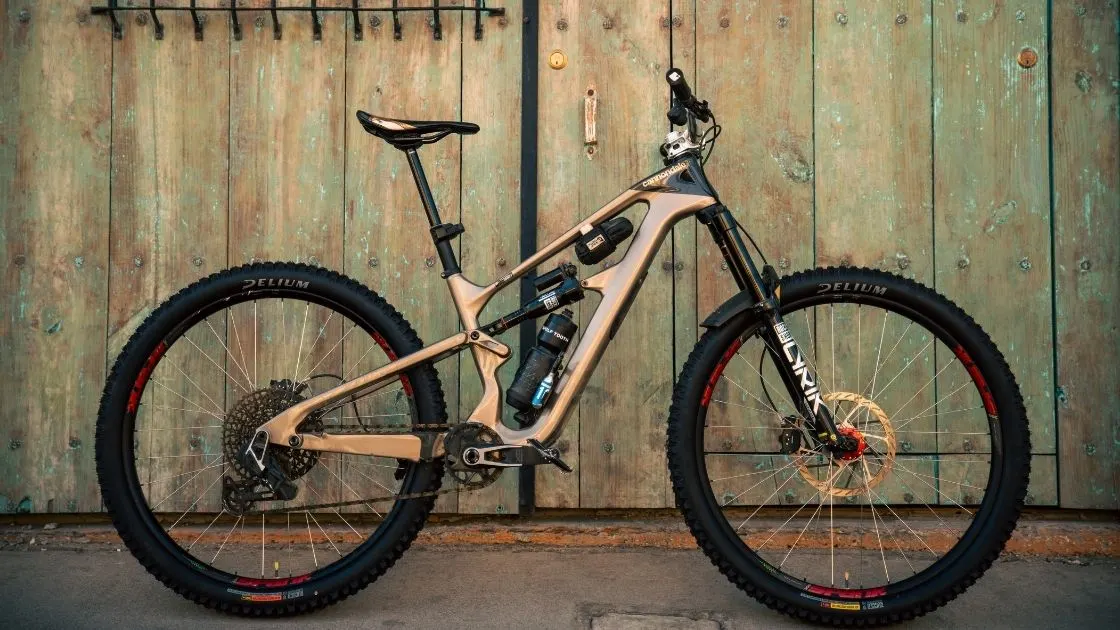 Mountain bike leaning against a weathered wooden door