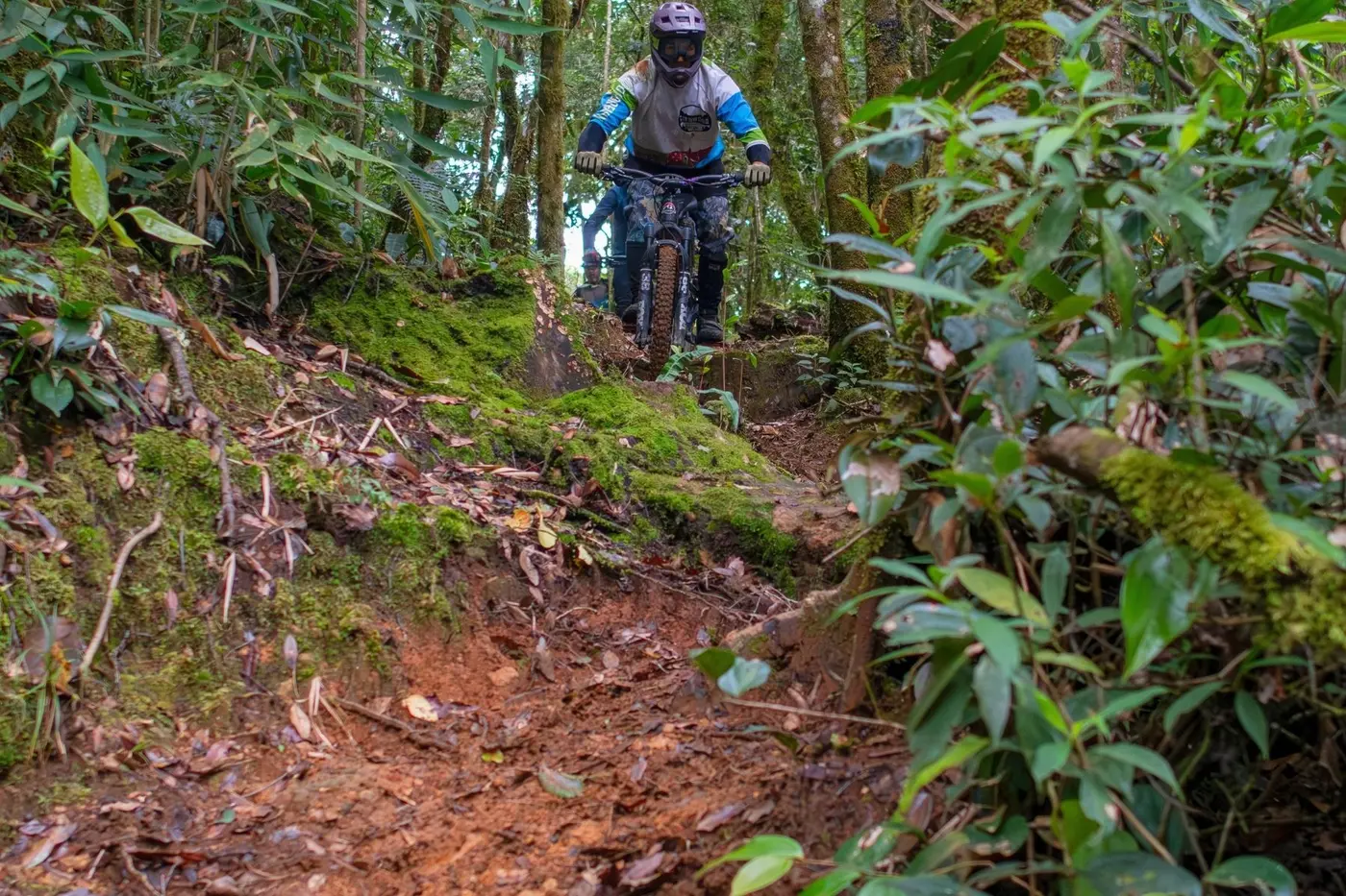 Rider climbing a green jungle trail