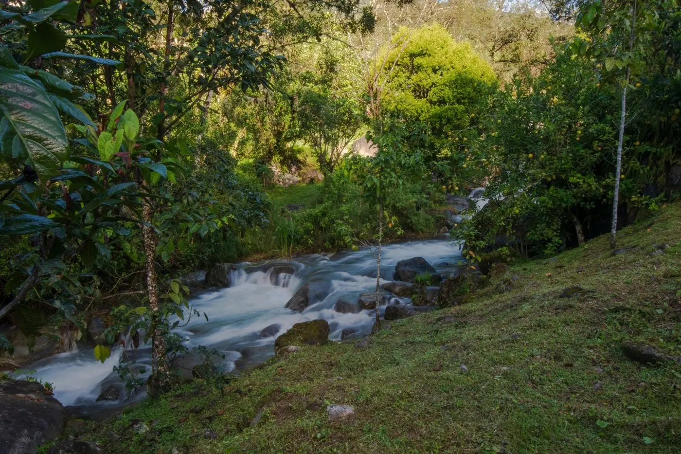 River running through Costa Rican rainforest