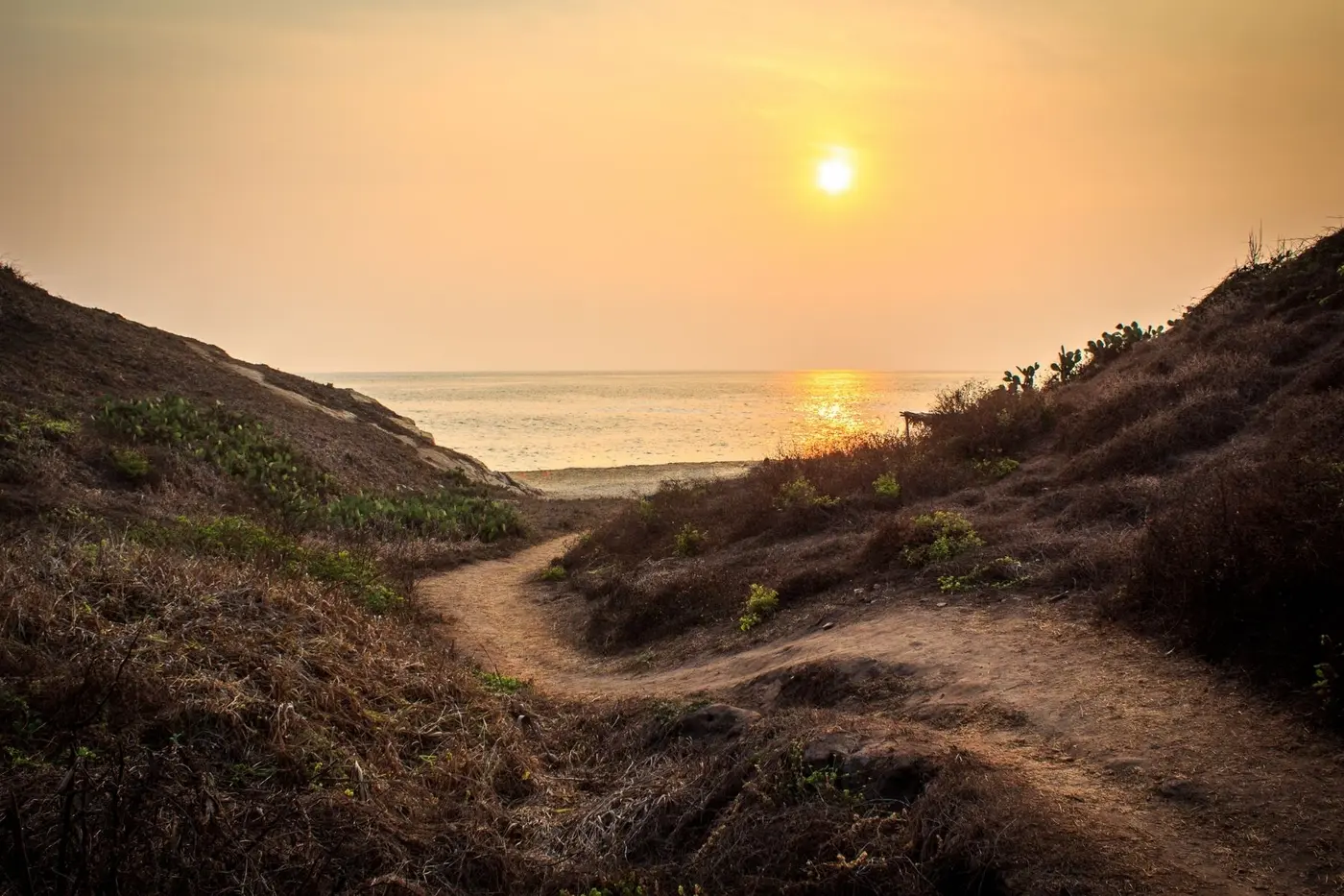 A coastal trail at sunset