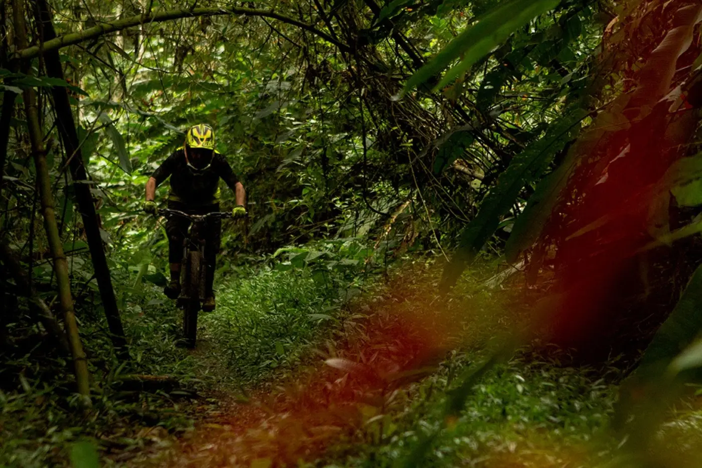 Advanced mountain biking in Ecuador