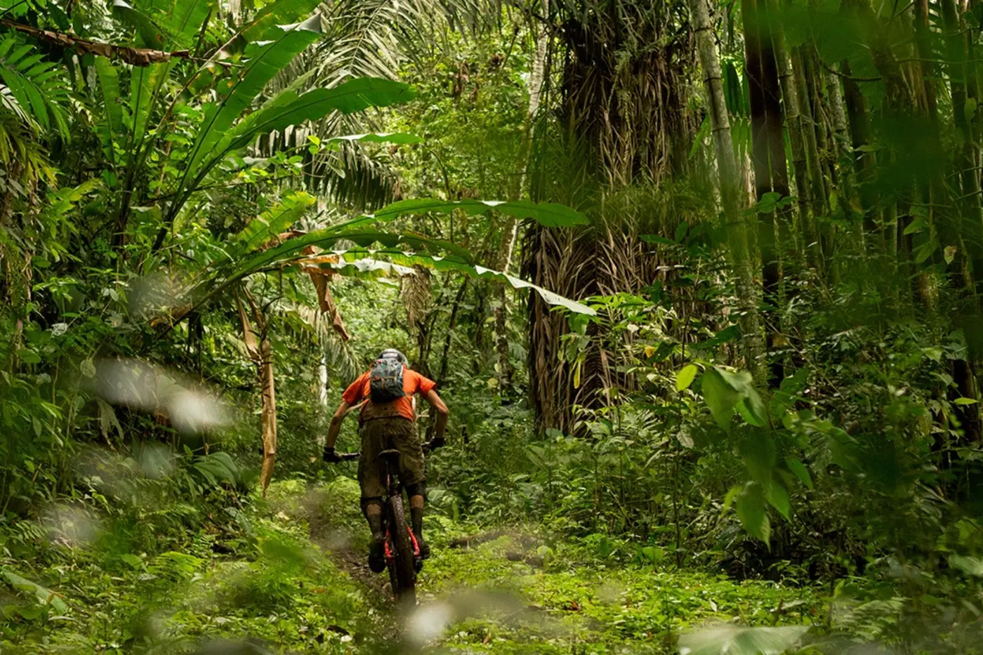 Mountain biking in Ecuador