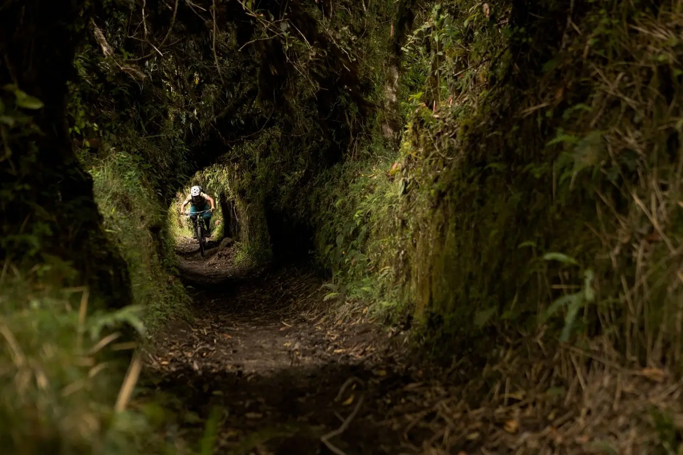 Mountain biking in Ecuador