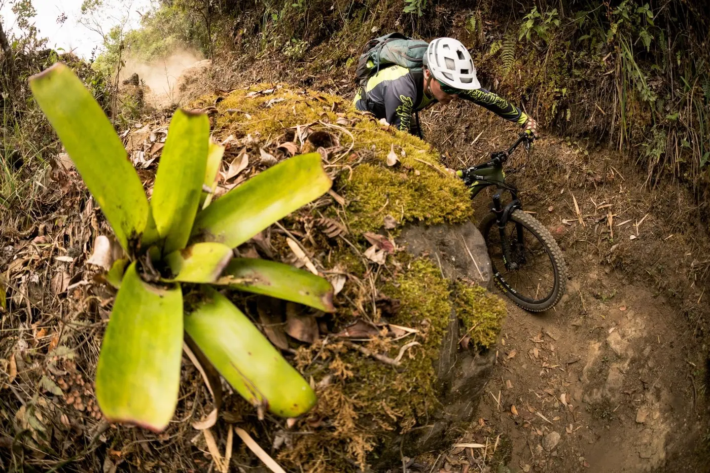 Mountain biking in Ecuador
