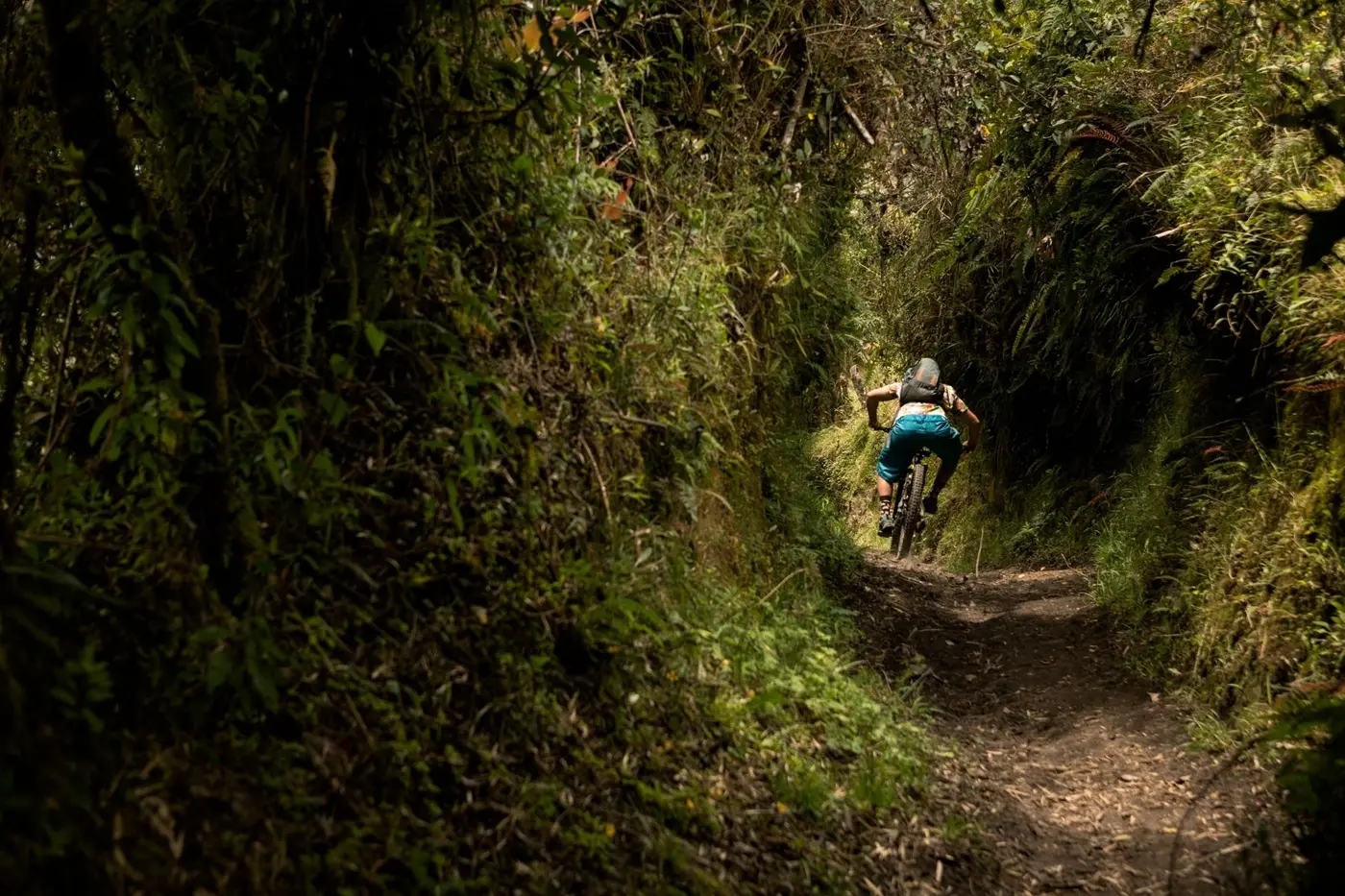 Mountain biking in Ecuador