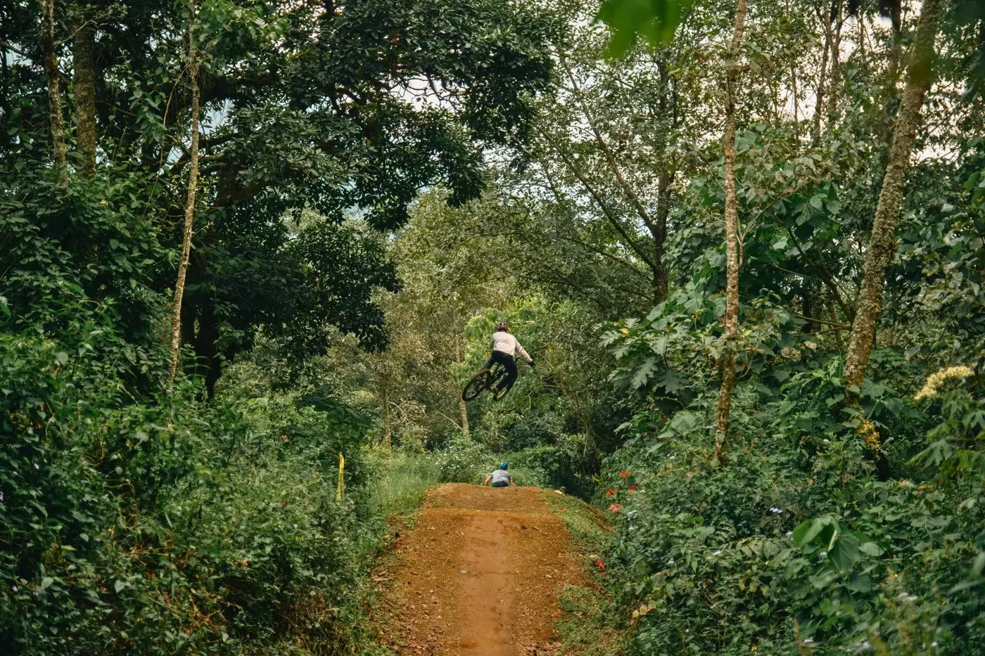 Riders descending a forest trail in Guatemala