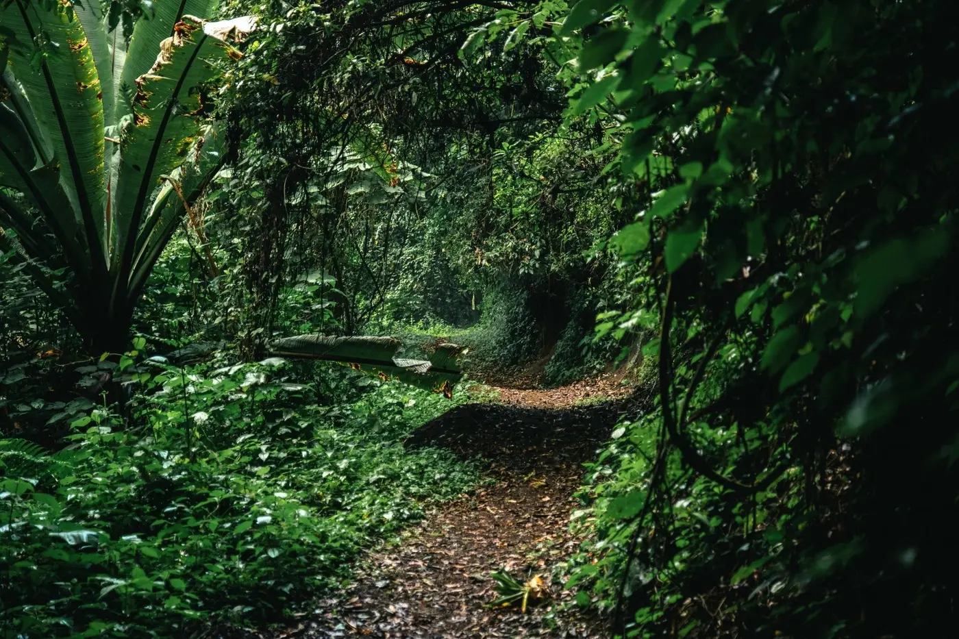 Mountain biking in Guatemala