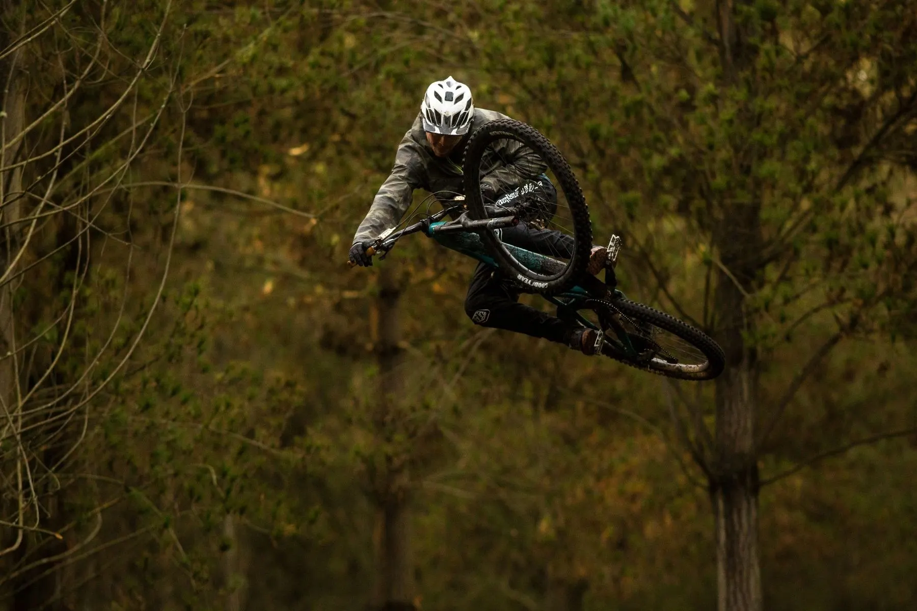 Rider whipping through a pine forest