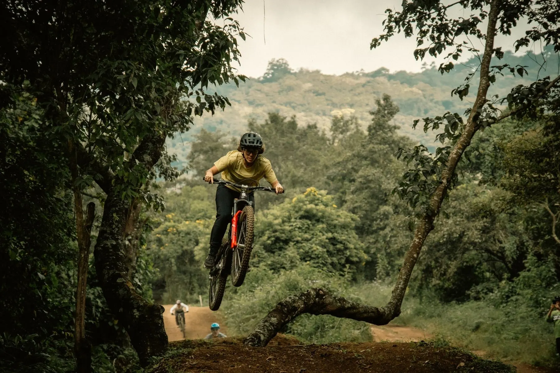 Rider dropping into a green jungle line