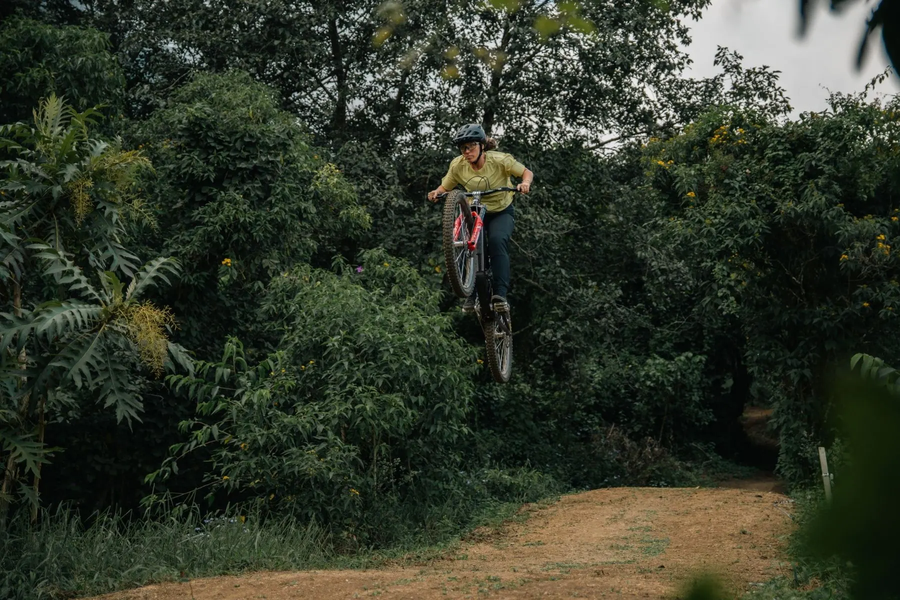 Mountain biker jumping a trail surrounded by dense green forest