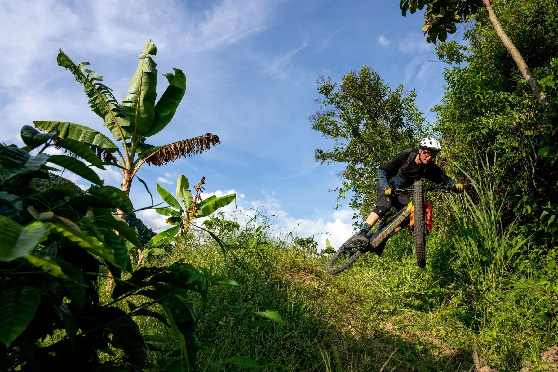 Rider launching a jump on a jungle trail