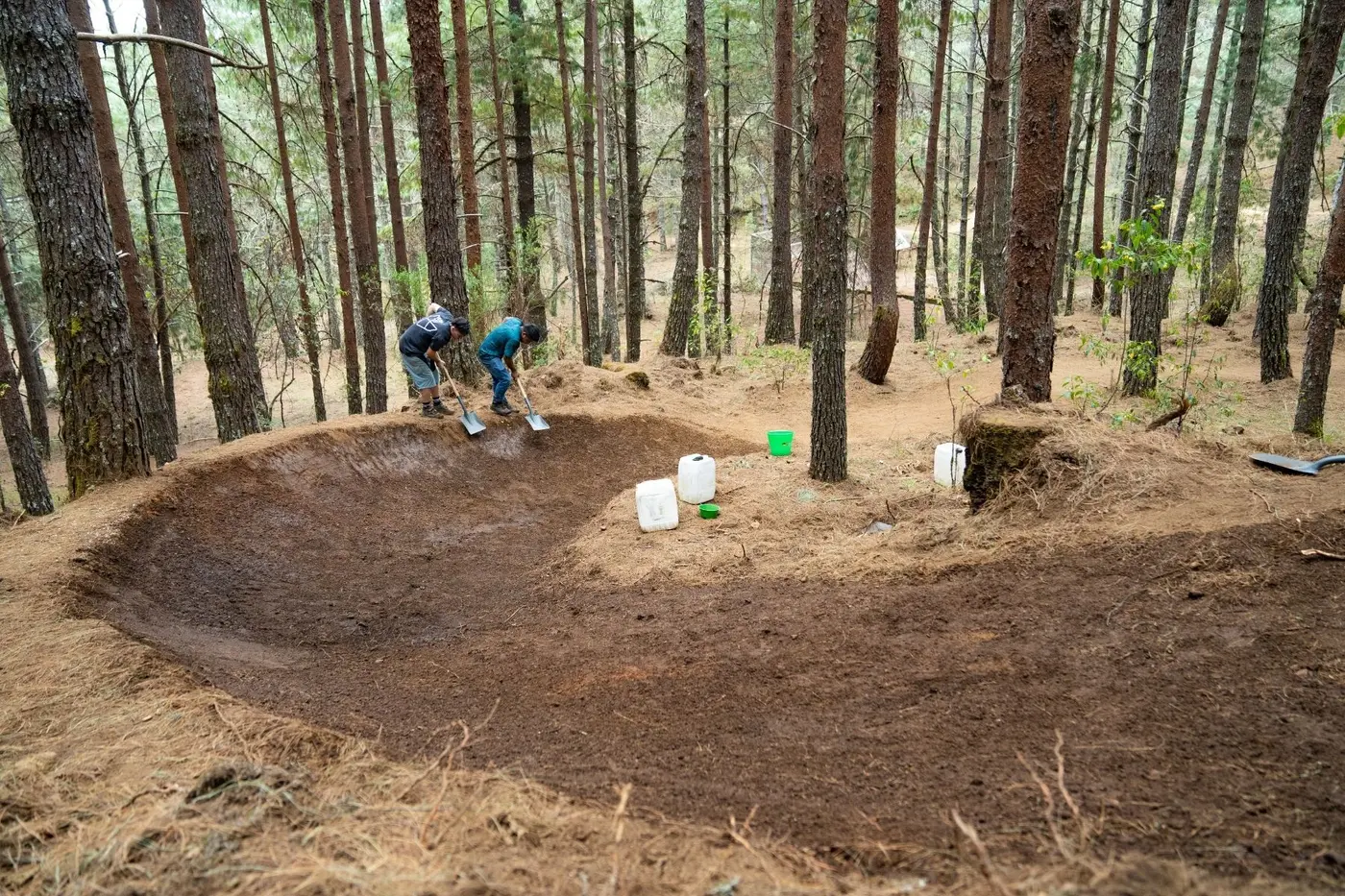 A finished bermed corner through the pine forest