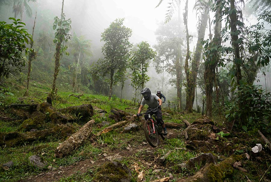 Steep technical singletrack descending through the Ecuadorian Andes